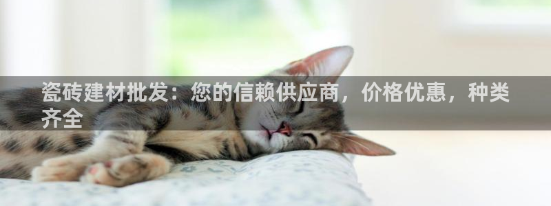 杏鑫平台待遇
