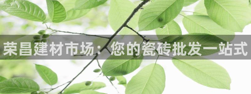 杏鑫平台注册地址是哪里