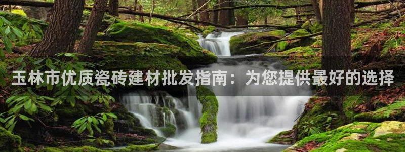 杏鑫平台测速