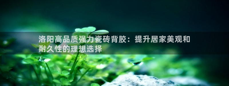 杏鑫官方平台怎么样啊安全吗
