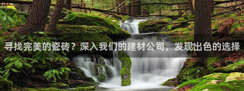 杏鑫平台注册登录