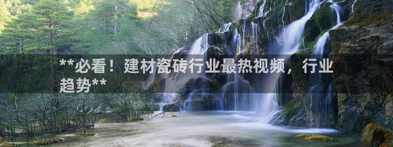 杏鑫娱乐平台测速怎么样