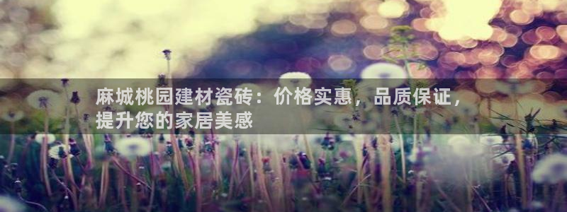 杏鑫娱乐官方网站客户端下载安装