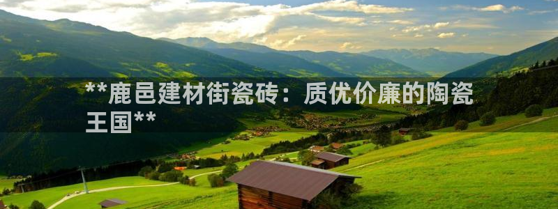 杏鑫官网最新信息