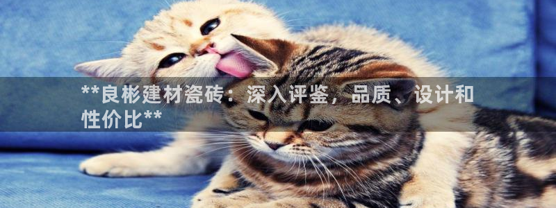 杏鑫娱乐怎么样