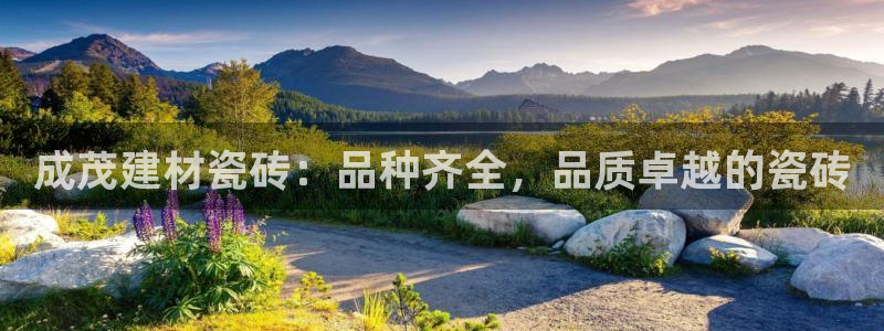 杏鑫平台测速怎么样