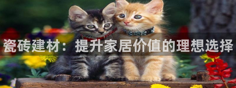 杏鑫平台下载安装
