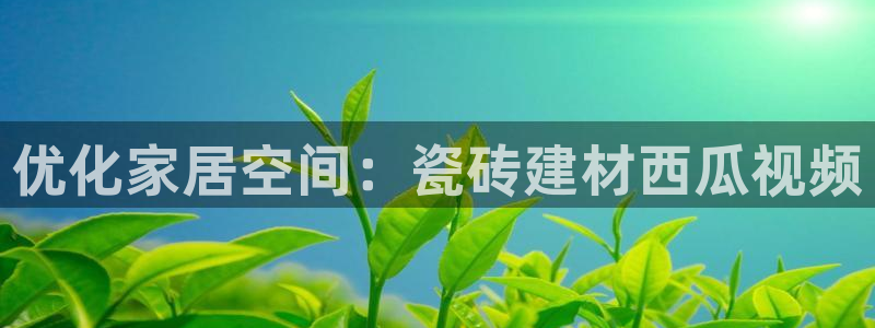 杏鑫娱乐负责人