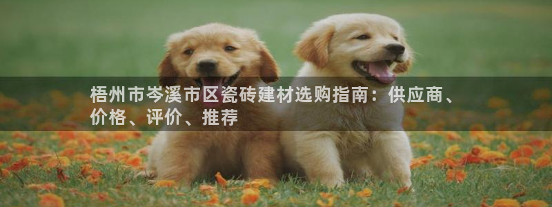 杏鑫平台直属