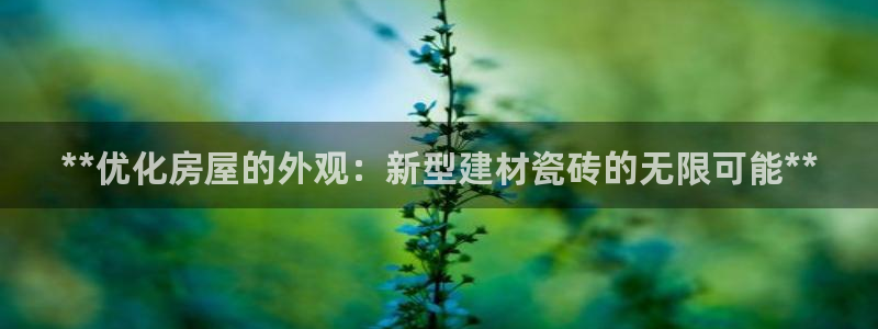 杏鑫官方平台怎么样啊