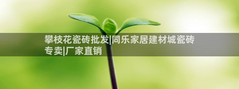 杏鑫平台注册网址