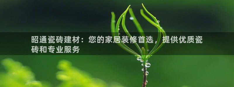 杏鑫平台代理怎么样可靠吗