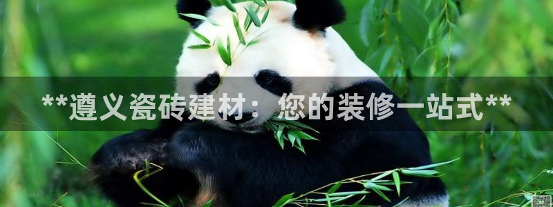 杏鑫平台代理注册多少钱一年