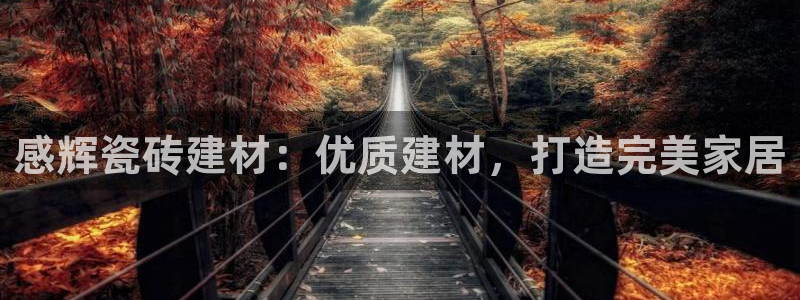 杏鑫娱乐怎么样
