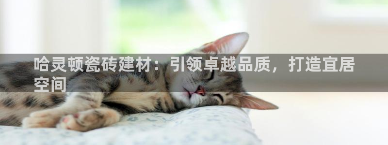杏鑫娱乐负责人