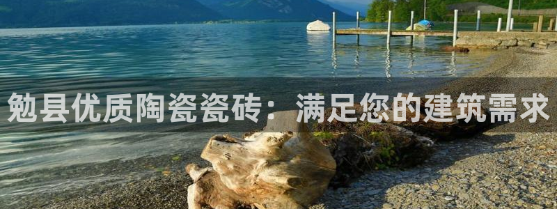 杏鑫平台注册入口在哪