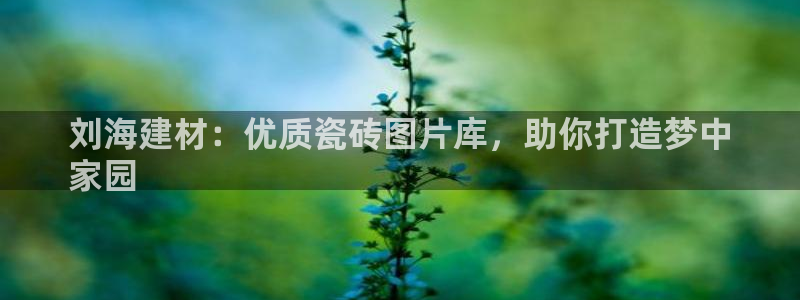 杏鑫代理注册平台