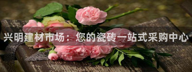 杏鑫官网注册账号密码忘了