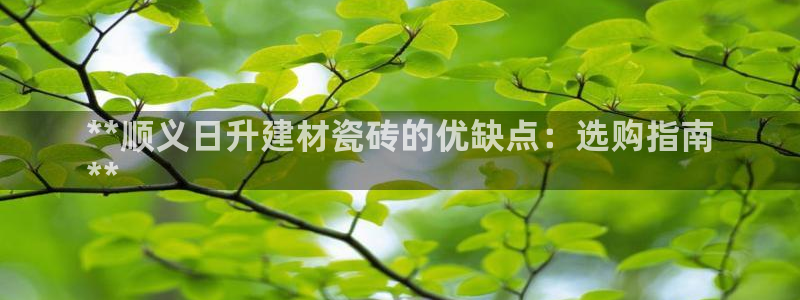 杏鑫平台野马联盟