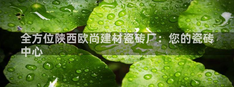 杏鑫招商总代
