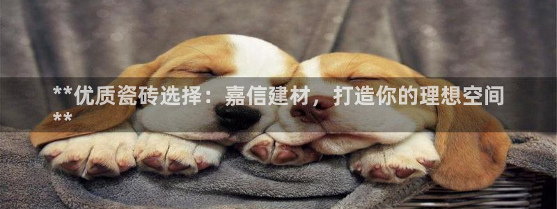 杏鑫平台在线注册