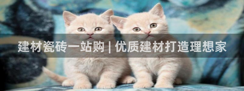 杏鑫平台代理注册多少钱啊