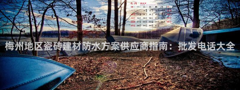 杏鑫官方平台怎么样啊知乎