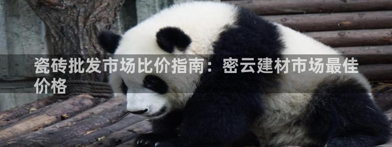 杏鑫平台注册入口