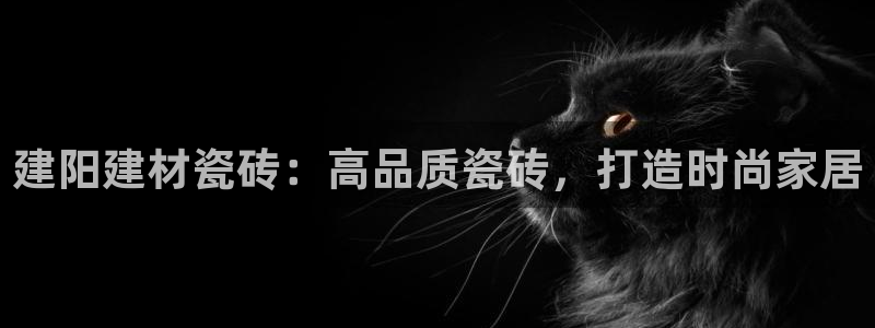 杏鑫手机客户端怎么下载