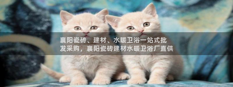 杏鑫娱乐官网下载