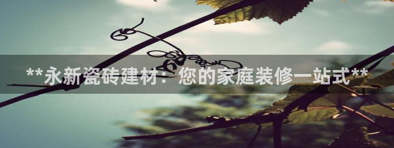 杏鑫平台正规吗可信吗