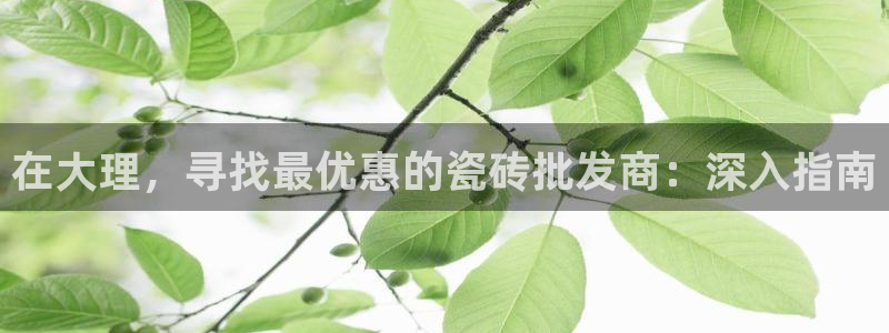 杏鑫平台正规吗