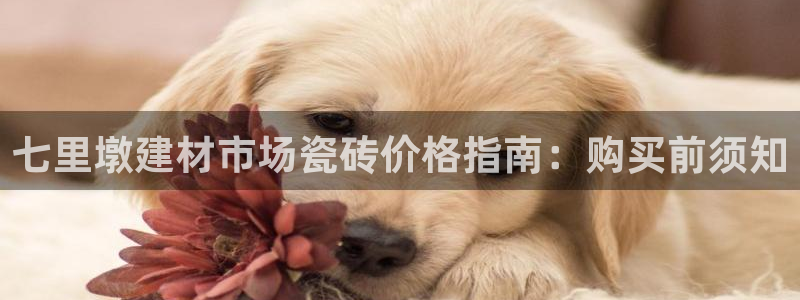 杏鑫娱乐平台测速