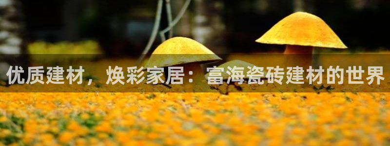 杏鑫平台怎么样黑钱吗