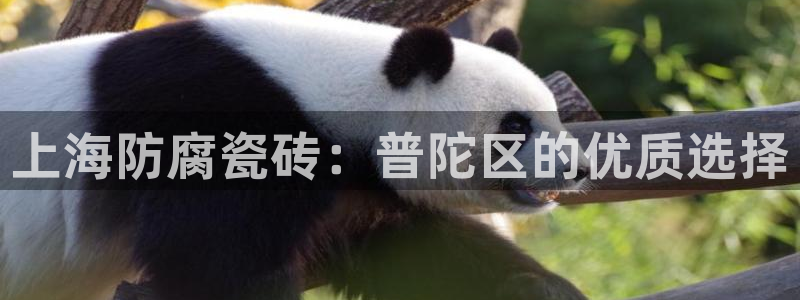 杏鑫平台待遇
