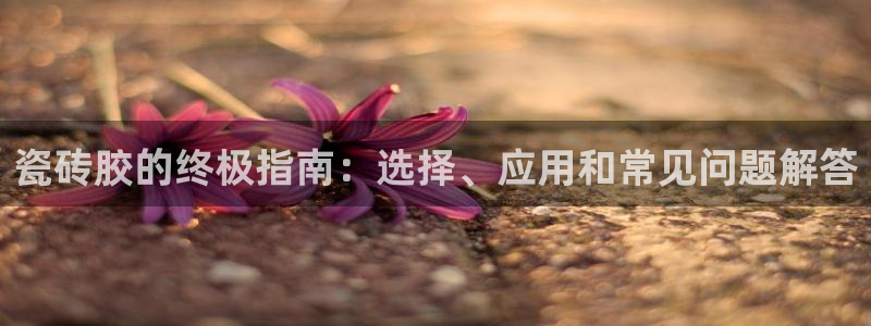 杏鑫平台注册入口
