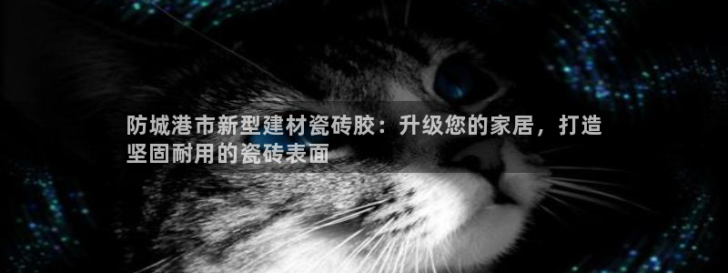 杏鑫平台代理怎么做的