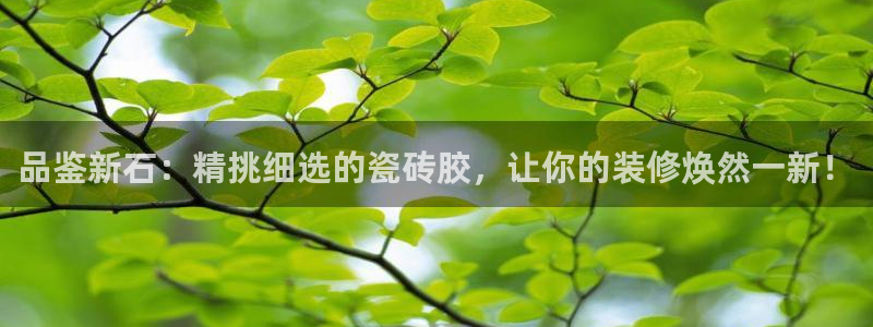 杏鑫平台平台娱乐怎么样
