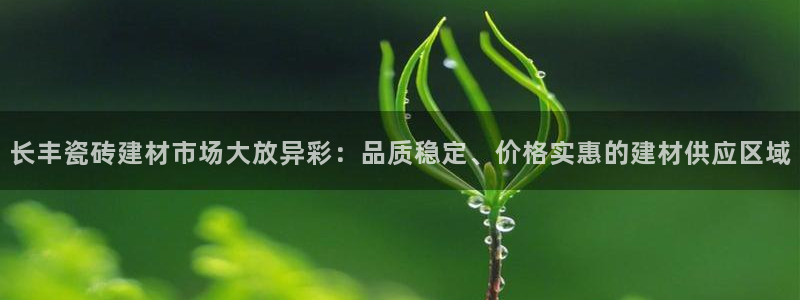 杏鑫平台直属