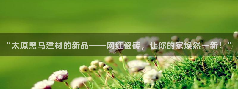 杏鑫娱乐平台测速怎么样