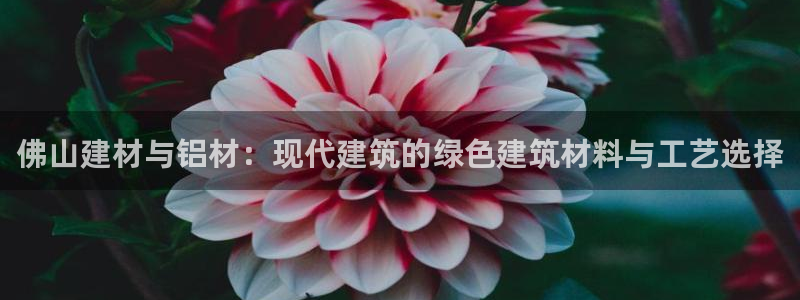 杏鑫平台代理注册多少钱一个