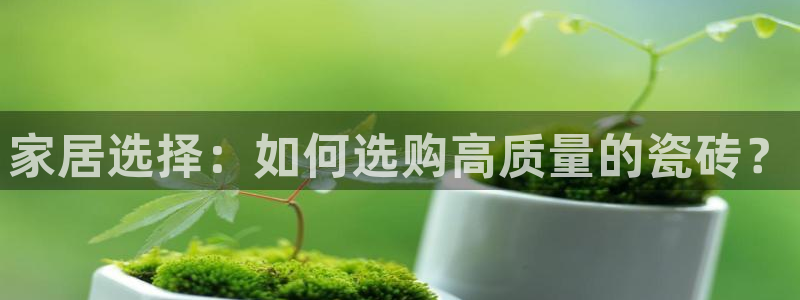 杏鑫平台直属