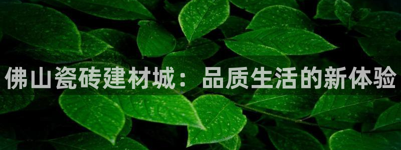 杏鑫官方平台怎么样啊