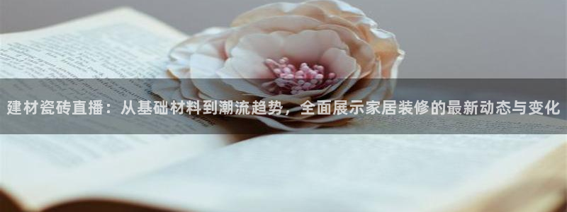 杏鑫平台代理怎么样啊