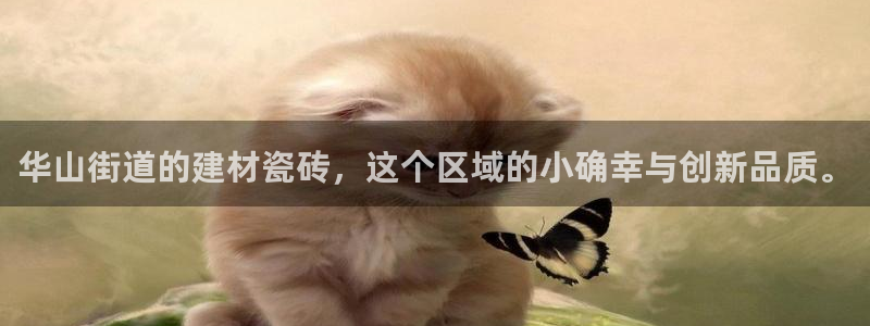 杏鑫官网最新信息新闻