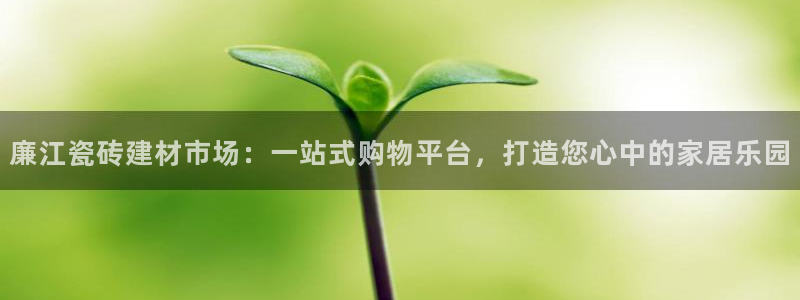 杏鑫平台注册入口在哪里找