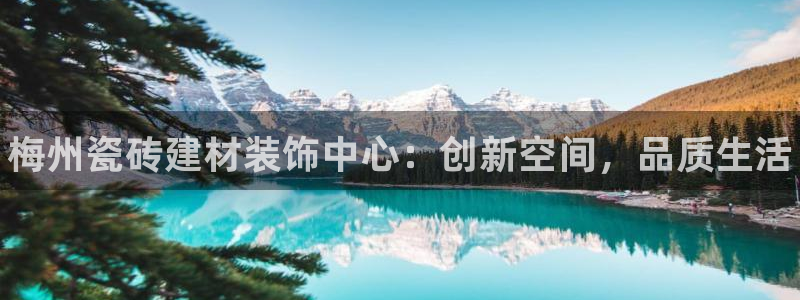 杏鑫官方app代理