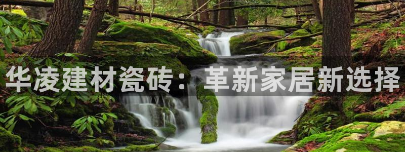杏鑫平台代理怎么样