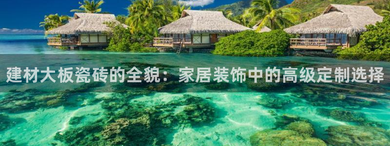 杏鑫平台代理注册