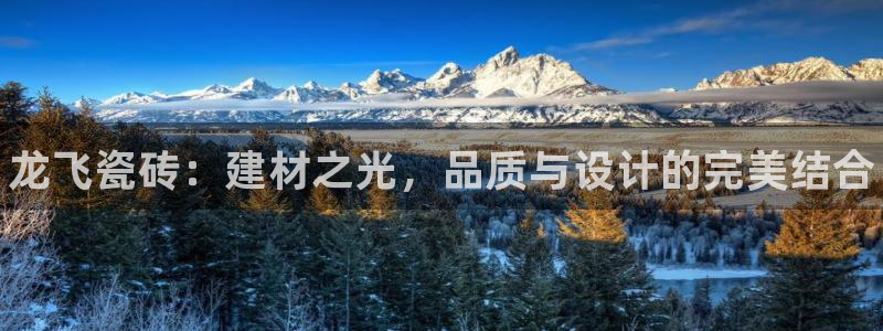杏鑫注册登录平台